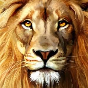 Meet your Posher, Durant j